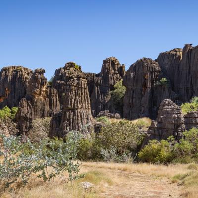 2025 Fitzroy Crossing Skill Set Calendar Background