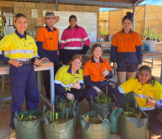 students, skill, learn, tafe, study