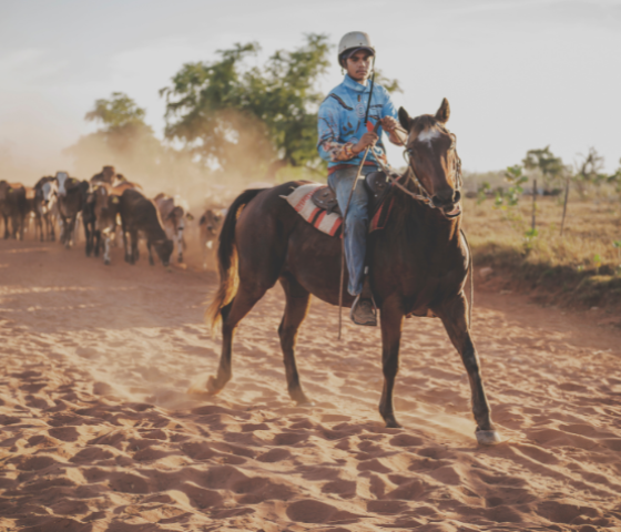 agriculture, skill, study, tafe, learn