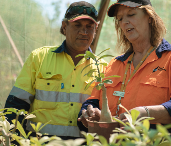 agriculture, skill, study, tafe, learn