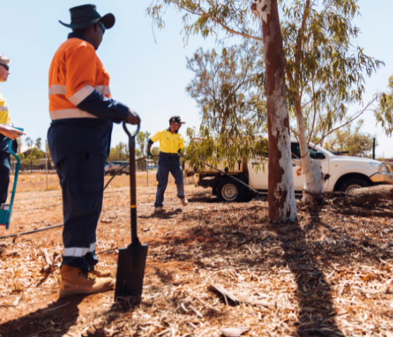 agriculture, skill, study, tafe, learn