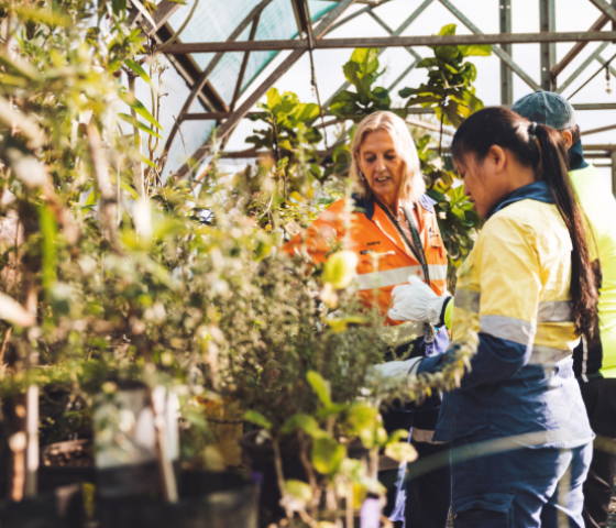 Horticulture students working in nursery 