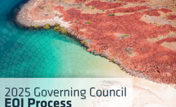 2025 Governing Council EOI Process