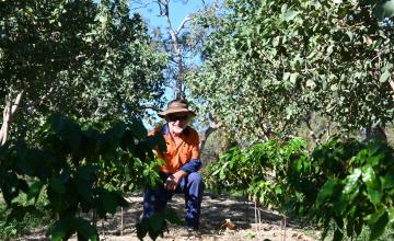Lecturer at tafe garden